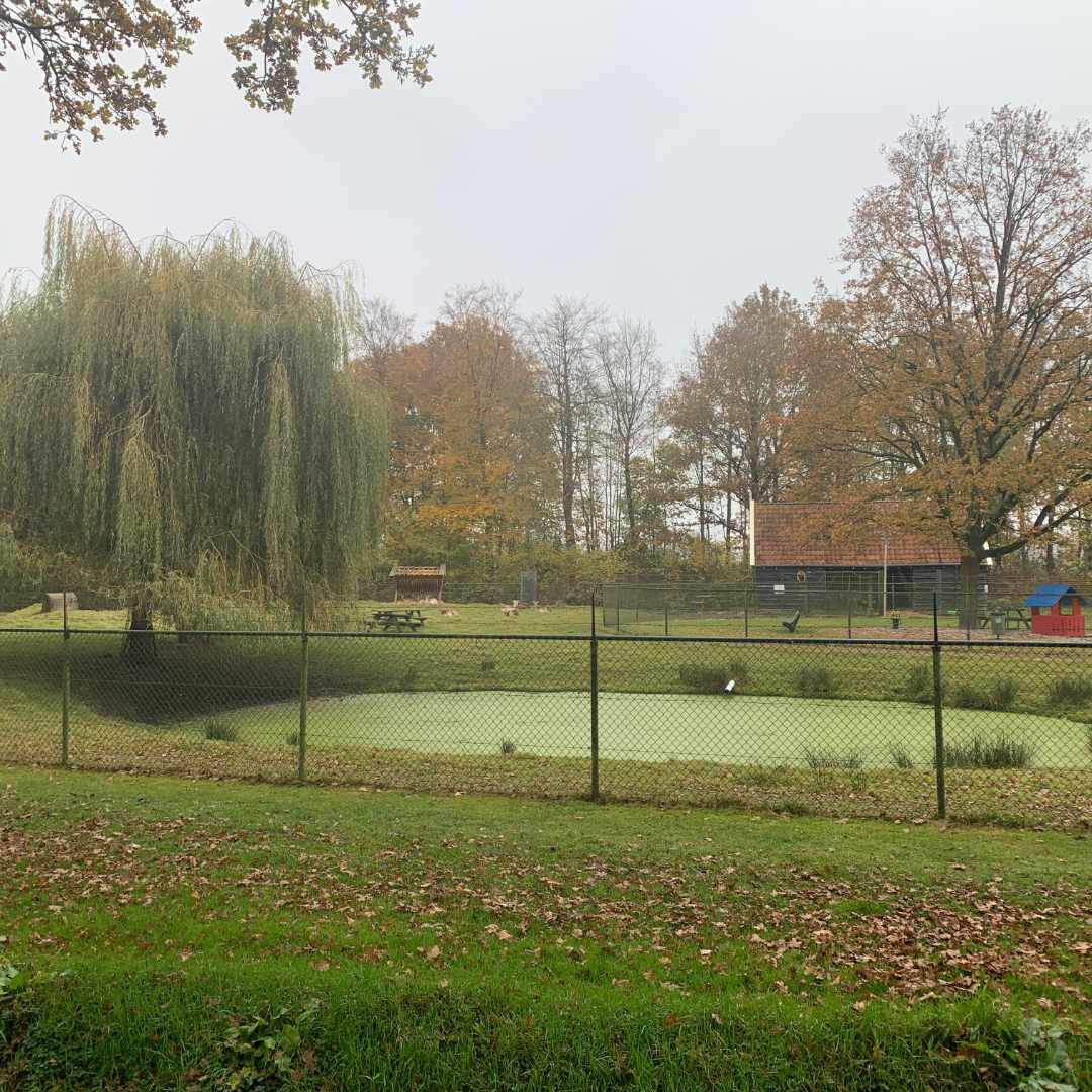 placeholder image-sq